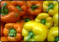 Chemicals in Foods May Help Extend Life