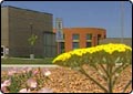 Elementary School Xeriscapes