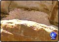 Archeologists Studying Pristine Eastern Utah Ruins