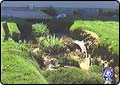 Heavy Rains Bring Flooding to Utah County