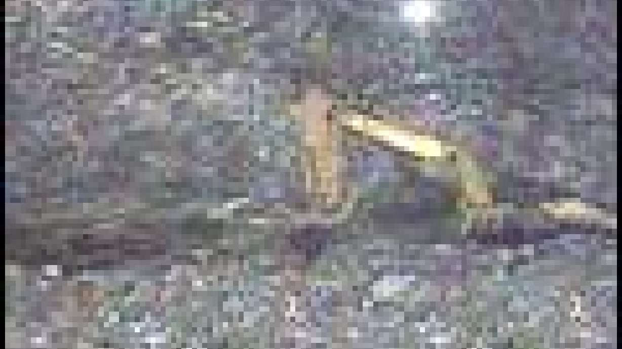 Landfill Search is Monumental Task