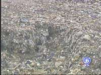 Mark Hacking Arrested for Murder of Wife