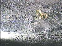 Attorney to Challenge Confession; Search Continues