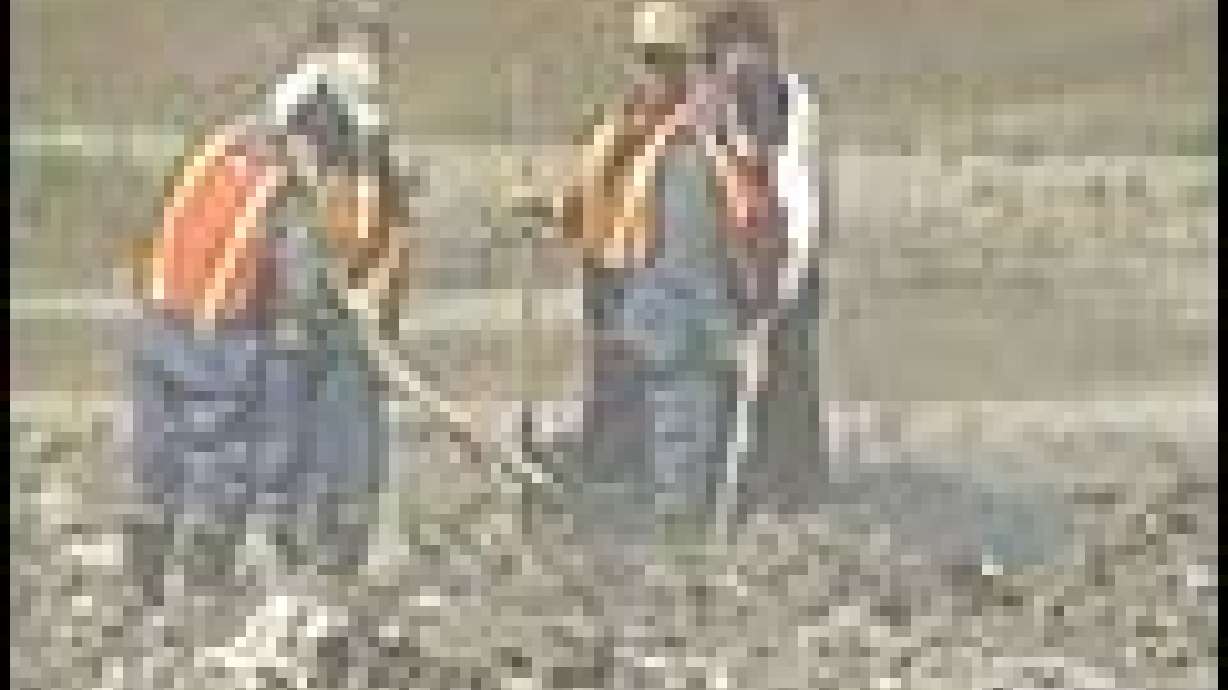 Landfill Search for Lori Hacking Begins Anew