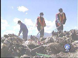 Leads Uncovered in Landfill Search