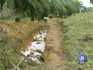 Asia Tsunami Death Toll Soars Past 77,000