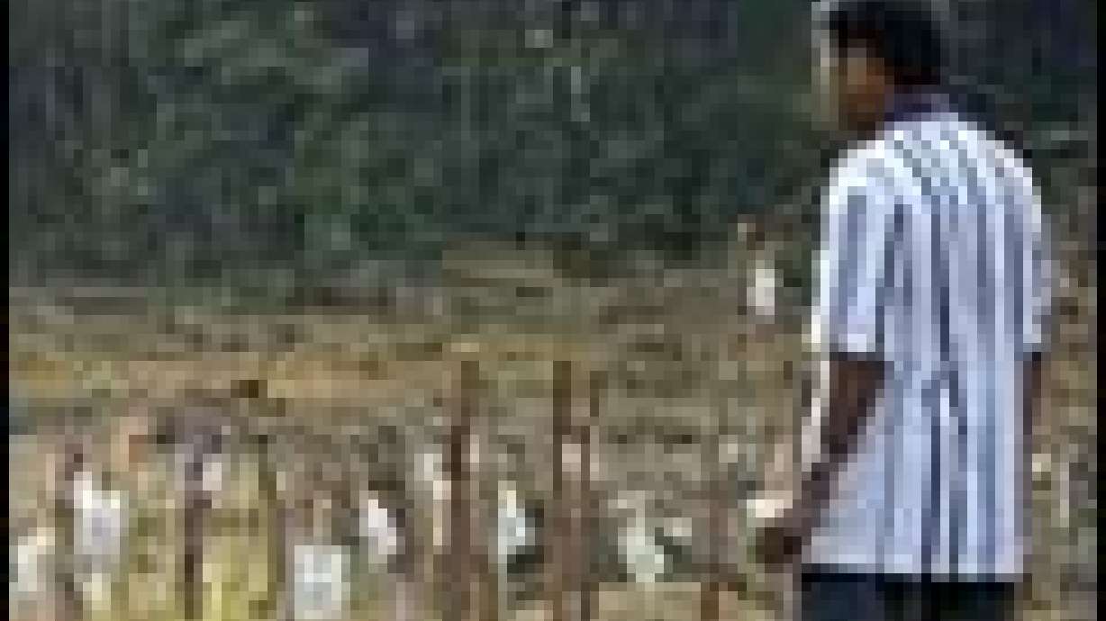 Death Toll From Tsunami Tops 150,000