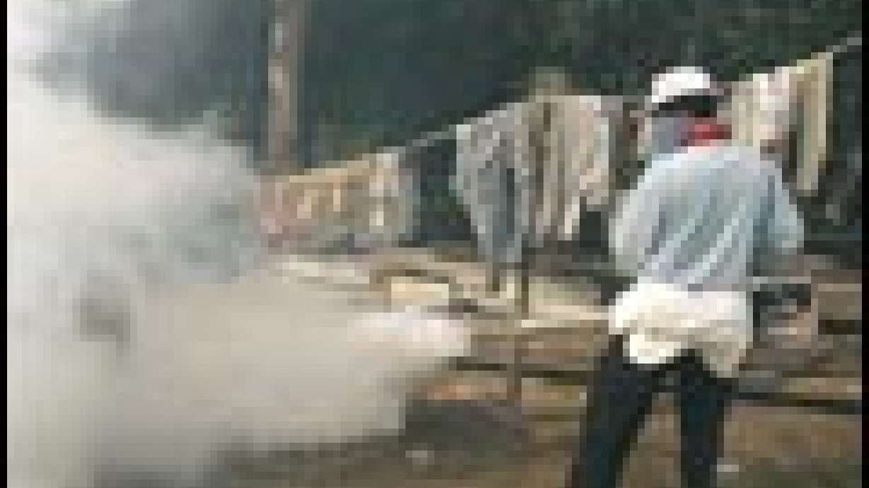 Malaria Threat Emerges as Rains Deluge Tsunami Stricken Region