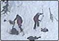 Body Found at Avalanche Site