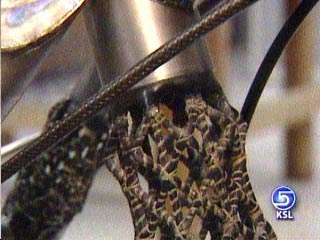 BYU Engineers Create Revolutionary Lightweight Mt. Bike Frame