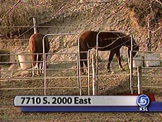 Horse Trampling Critically Injures 7-year-old