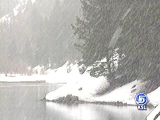 Water Runoff Watch Begins