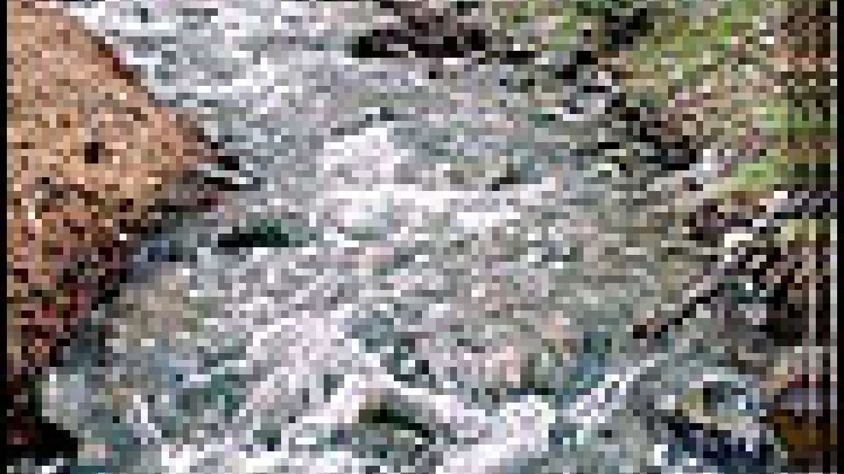 Sunny Skies Doesn't Mean Flooding is Over