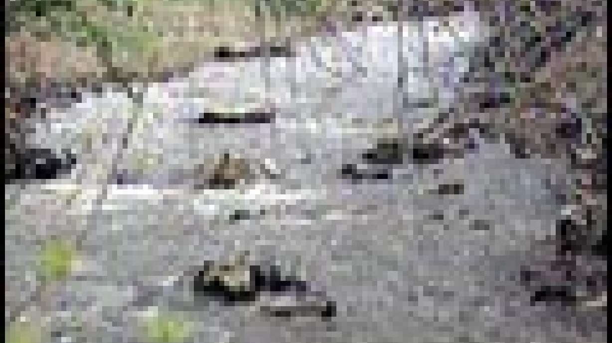 Flood Watch Continues as Snowpack Melts