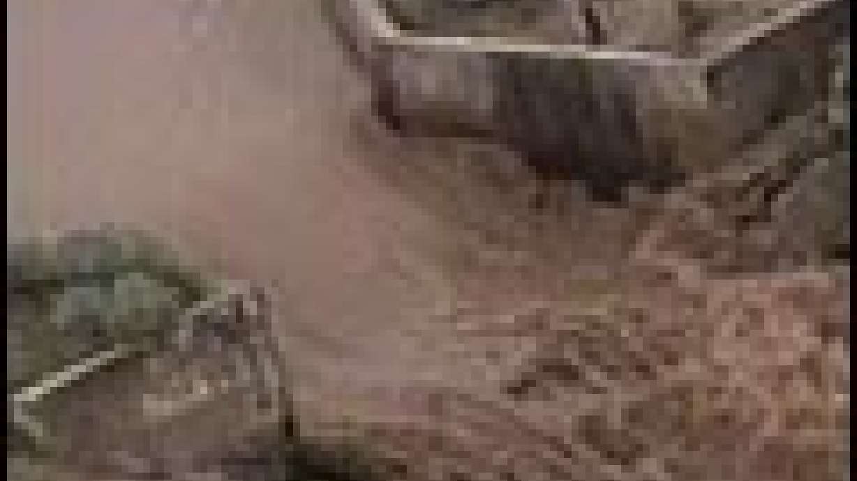 Raw Sewage Discharges into Malad River