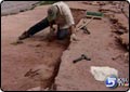 Team Discovers Thousands of Dinosaur Prints