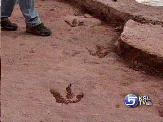 Team Discovers Thousands of Dinosaur Prints