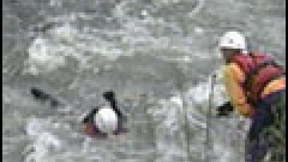 Officials Warn of Danger in Cottonwood Creeks