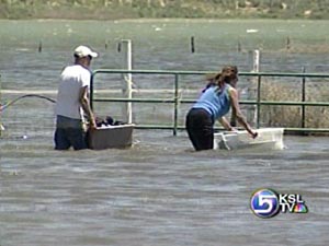 Homeowners Discover they Built in Previously Dry Lake Bed