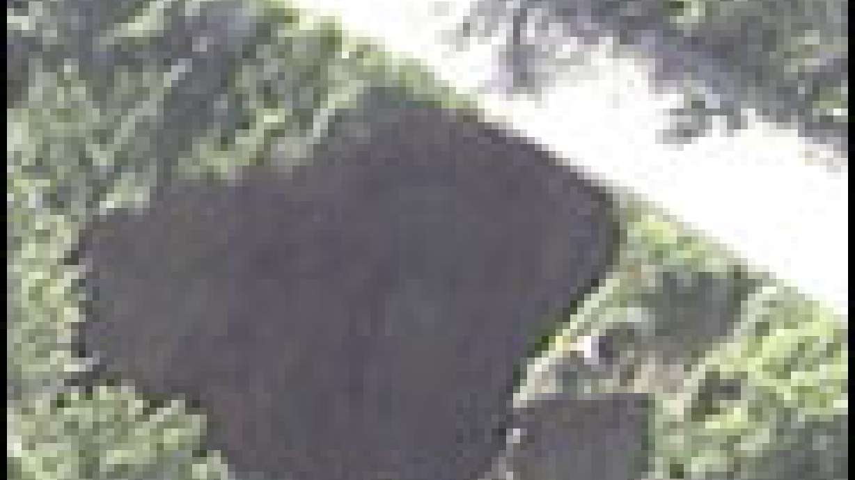 Stream Erodes Road to Farmington Canyon