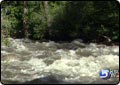 Rangers Warn of Water Dangers