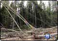 Powerful Results of Avalanche Now Visible