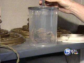Crews Finding Interesting Artifacts During Capitol Restoration