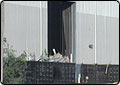 Body Found at Recycling Plant