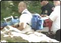 Rock Climber Seriously Injured in Fall