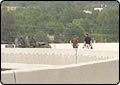 Accident Kills One on SR-201