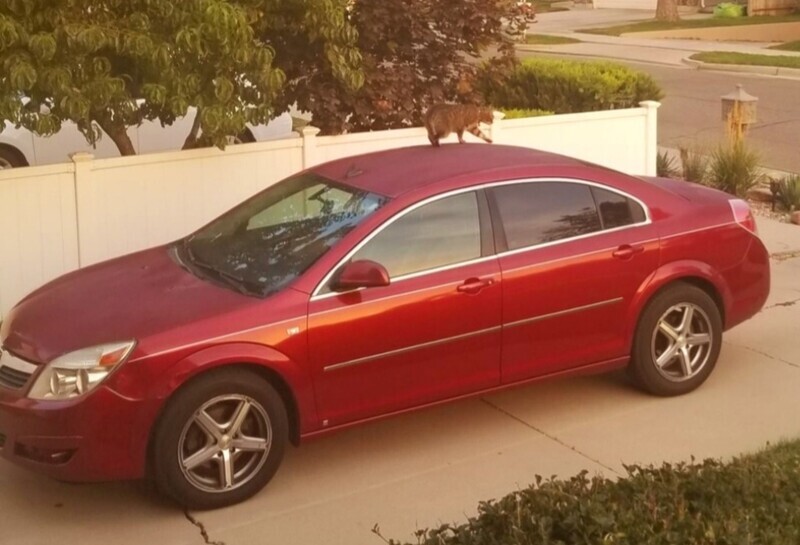 2008 Saturn Aura XE 1500 in Millcreek, UT | KSL Cars