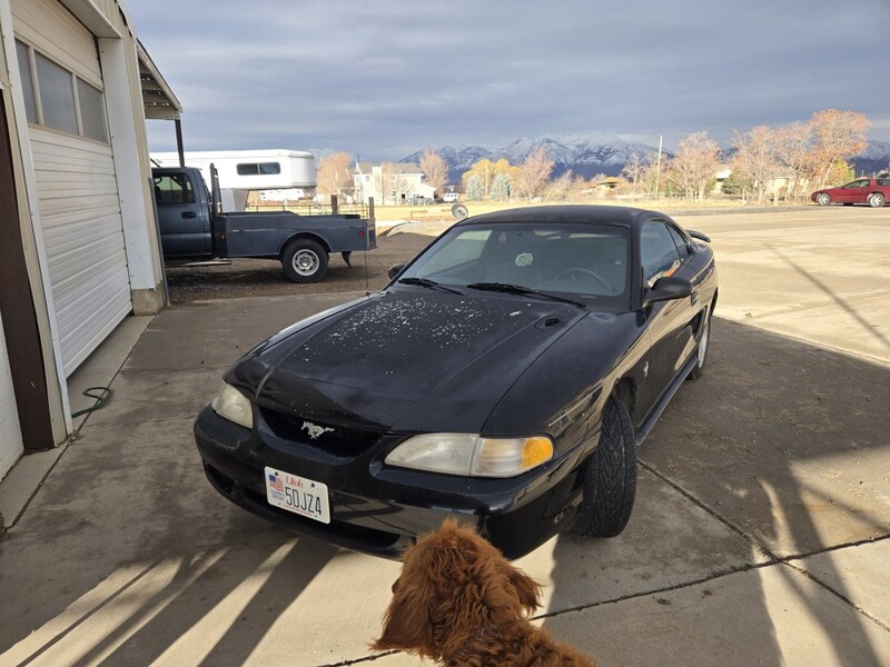 Sitemapcdatahttpthereferenznet1996 Ford Mustang V6null
