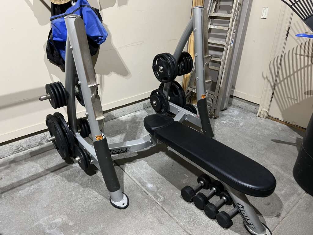 Hoist Flat Bench w/weights