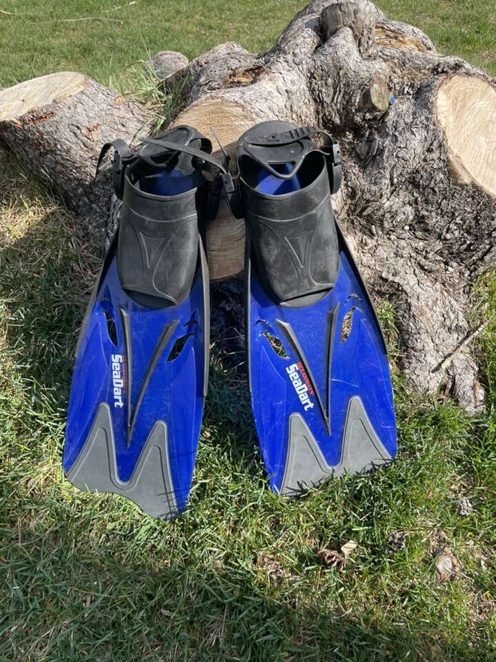 Oceanways Seadart Blue Flippers Small