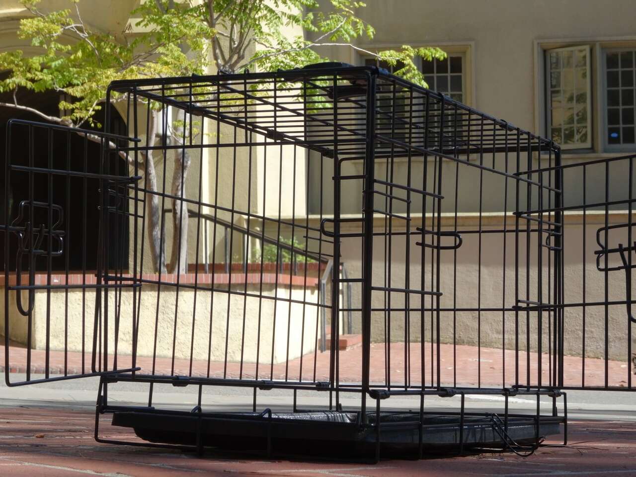 Dog Crate (BRAND NEW in BoX) Disease FREE Pets