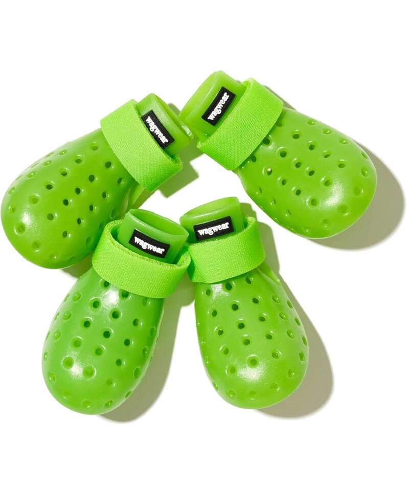 cat or dog  Boots XXSH