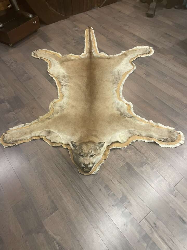 Mountain Lion Rug