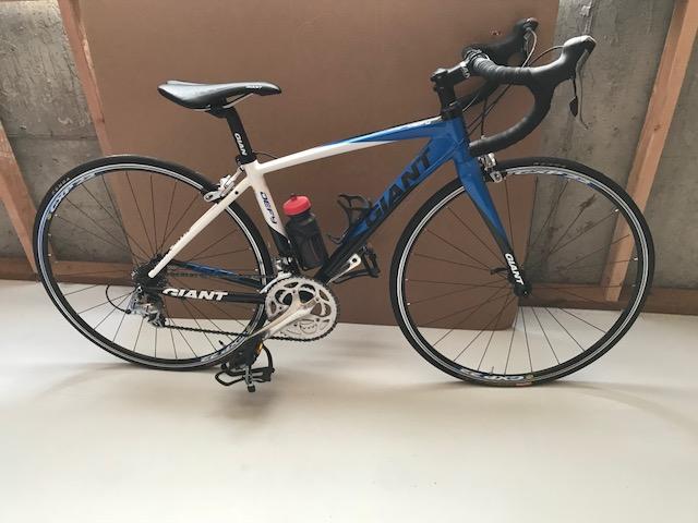 Giant Defy Blue and White