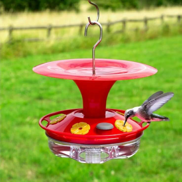 Roamwild Hummingbird Feeder