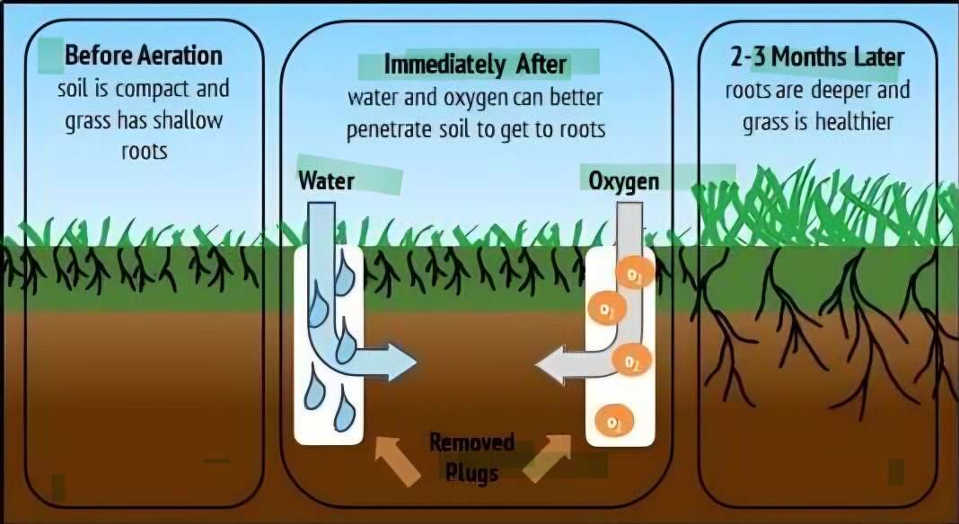 lawn aeration and dethatching/power rake