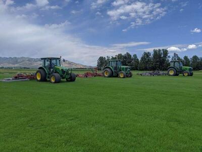 SUMMER SPECIAL ON SOD