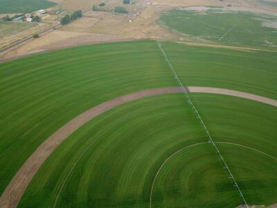 Highest Quality Sod Available