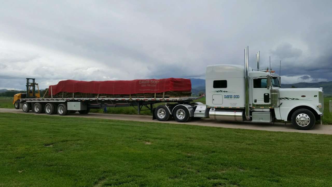 Highest Quality Sod on the market