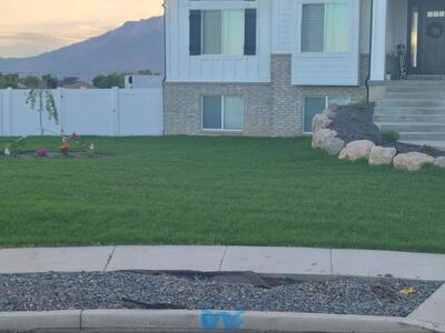 BEAUTIFUL LUSH GREEN SOD....