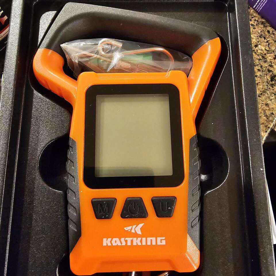 kast-king fish scales