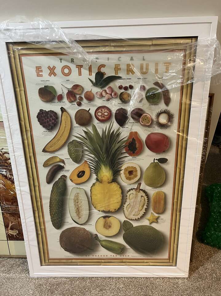 Tropical Fruits With New Quality Frame