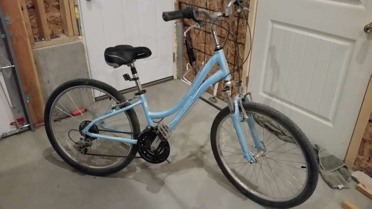raleigh venture 3.0