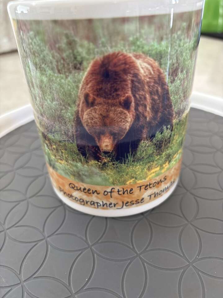 Cup 20 Oz 399 & Spirit And 4 Cubs