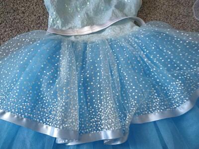 Blue sparkly costume