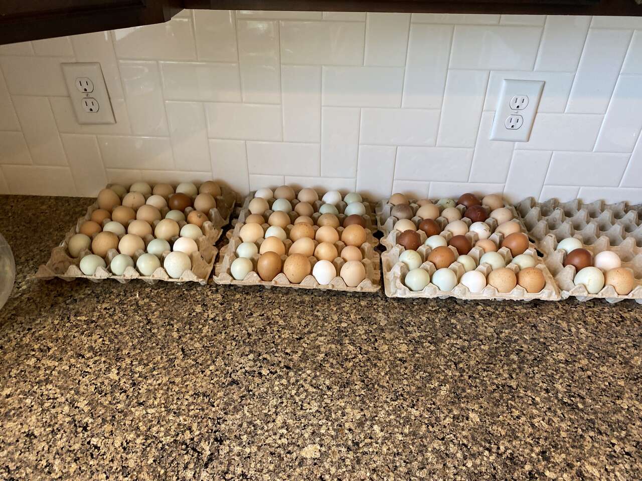 Farm fresh eggs